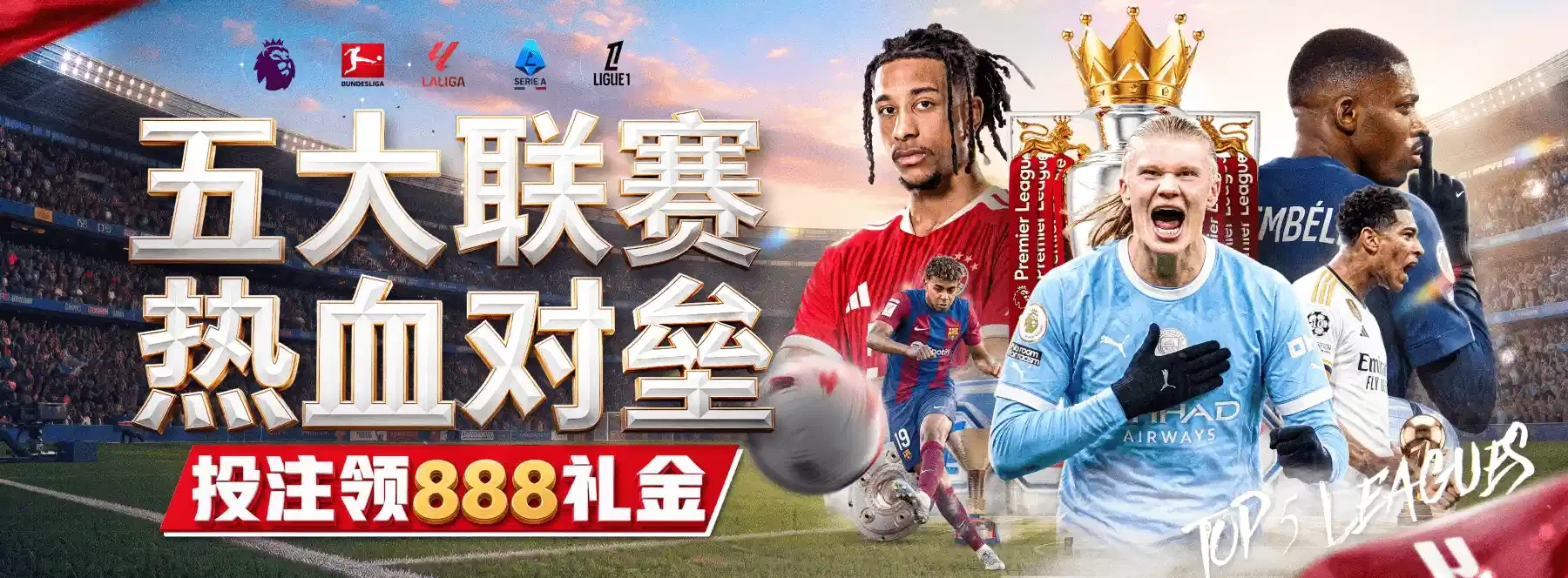 B体育场馆分类入口